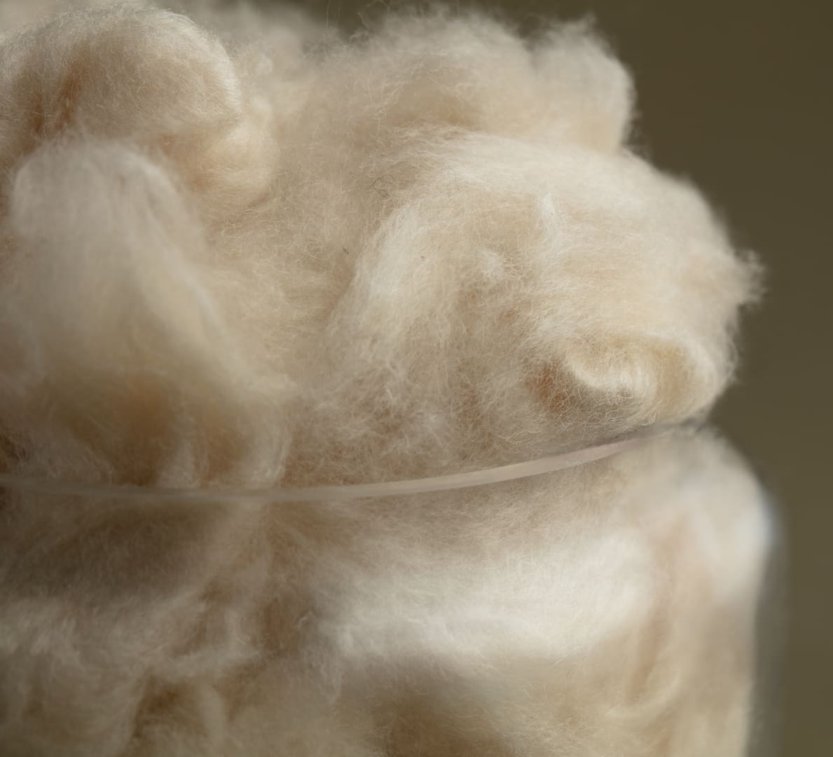 Natural kapok fiber used as the adjustable fill inside Amarae pillows